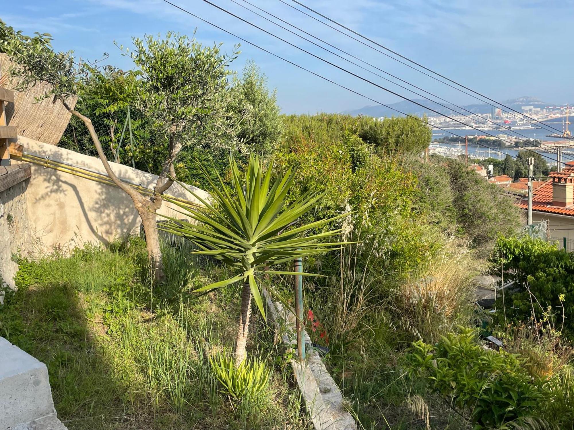 Magnifique Vue Sur La Mer ... Marseille Extérieur photo